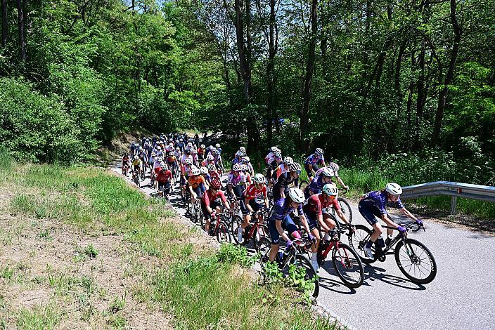 2. Etappe Peloton, Sportland NÖ women tour