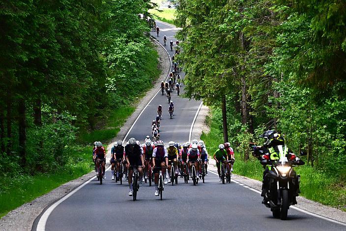 Das Peloton unterwegs im Ybbstal zum Hochkar, Ybbsitz - Hochkar, Sportland NÖ women tour