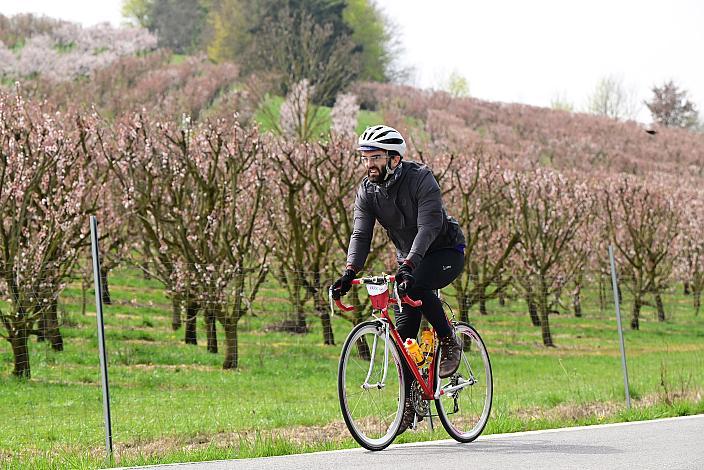 10. Kirschblüten Radklassik, Rad Klassik, Oldtimer, Vintage, Stahlrad, Radsport, Eferding, Oberösterreich