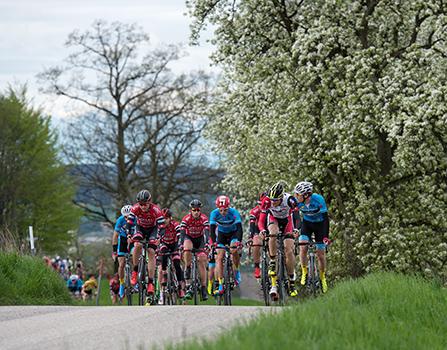Gruppe mit Daniel Schorn (Team Felbermayr Simplon Wels), Sieger, 55. Kirschbluetenrennen Wels