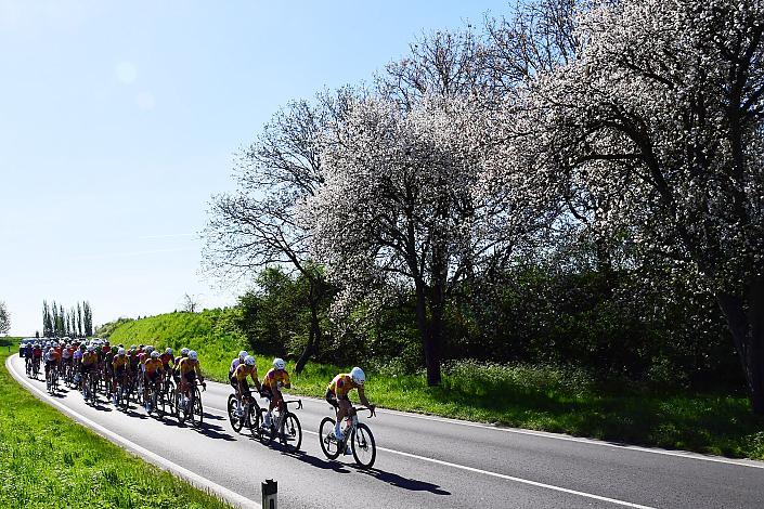 Herren Elite, U23, Road Cycling League Austria, 64. Raika Kirschbluetenrennen, Wels, Oberösterreich