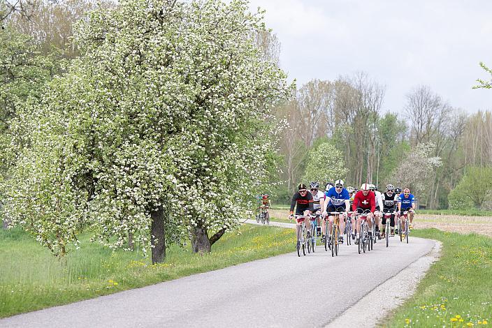 7. Kirschblüten Radklassik, Rad Klassik, Oldtimer, Vintage, Stahlrad, Radsport, Eferding, Oberösterreich