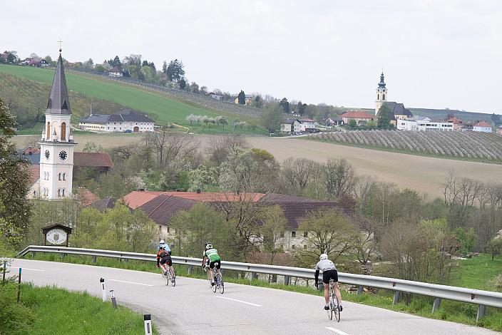 7. Kirschblüten Radklassik, Rad Klassik, Oldtimer, Vintage, Stahlrad, Radsport, Eferding, Oberösterreich
