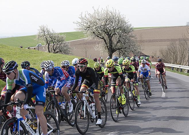 Team Vorarlberg Santic 58. Internationales Kirschbluetenrennen, Wels