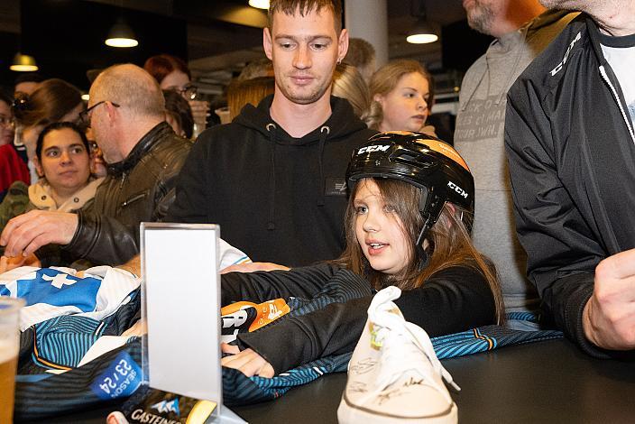 Steinbach Black Wings Linz , VIP Bereich, Linz AG Eisarena 