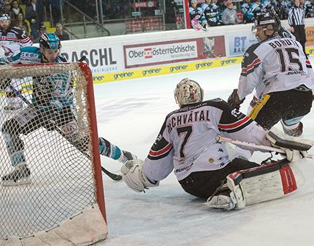 Daniel Oberkofler (EHC Liwest Black Wings Linz) scort gegen Tormann Patrik Nechvatal (HC Orli Znojmo), EHC Liwest Black Wings Linz vs HC Orli Znojmo, 4. Semifinale
