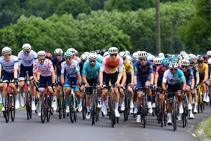 Das Peloton im Aschachtal, 2. Etappe Eferding - Ried im Innkreis, 15. Int. Raiffeisen OÖ-Radrundfahrt UCI Kat. 2.2