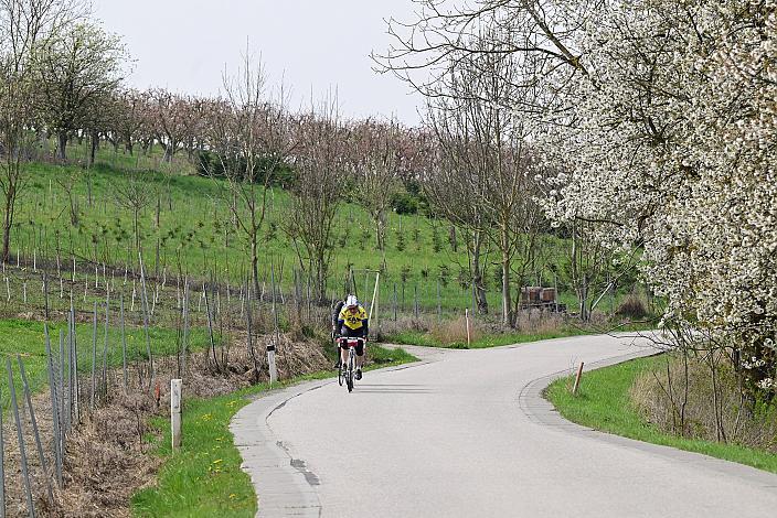 10. Kirschblüten Radklassik, Rad Klassik, Oldtimer, Vintage, Stahlrad, Radsport, Eferding, Oberösterreich