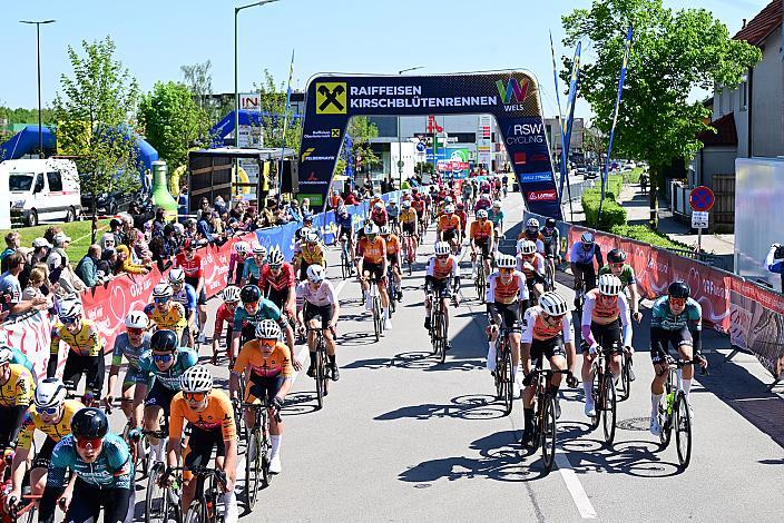 Herren Elite, U23, Road Cycling League Austria, 63. Raika Kirschbluetenrennen, Wels, Oberösterreich