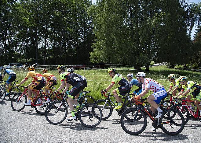 Jelle Johannink (NED, Sensa KvK Cyclingteam)  1. Etappe Wels - Stift Reichersberg, Radsport 10. Int. OOE Rundfahrt  