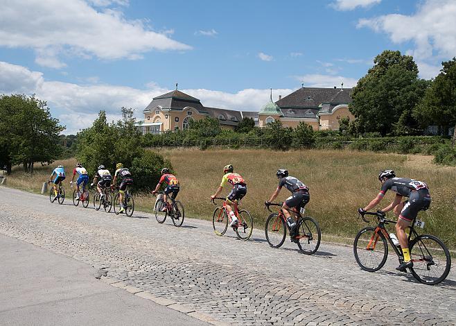 Das Feld der Fahrer am Cobenzl, Staatsmeisterschaft, Strassenrennen, Kahlenberg, Wien