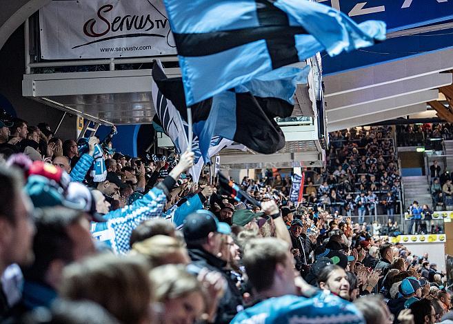 Im Bild: Linzer Fans  feiern das 2 zu 2 Eishockey,  EHC Liwest Black Wings Linz vs Red Bull Salzburg
