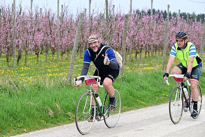 9. Kirschblüten Radklassik, Rad Klassik, Oldtimer, Vintage, Stahlrad, Radsport, Eferding, Oberösterreich