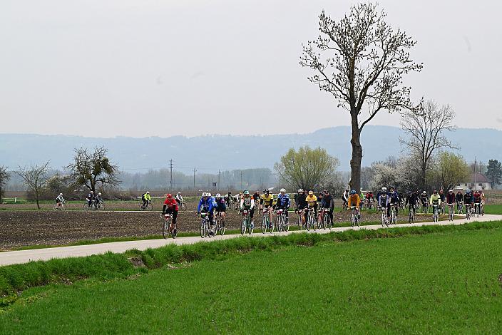 10. Kirschblüten Radklassik, Rad Klassik, Oldtimer, Vintage, Stahlrad, Radsport, Eferding, Oberösterreich