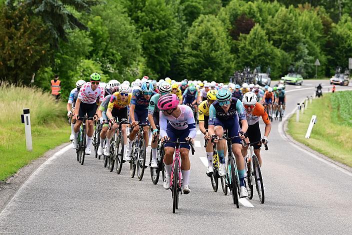 Das Peloton unterwegs im Traunviertel  3. Etappe Asten - Bad Schallerbach, Oberösterreich Rundfahrt