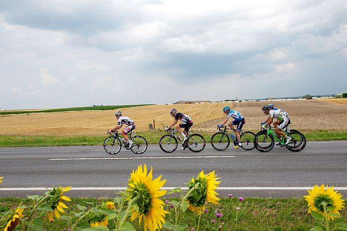 Jan Tratnik, Patrick Bosman (AUT, Tirol KTM Cycling Team), 8. Etappe Podersdorf, Burgenland - Wien