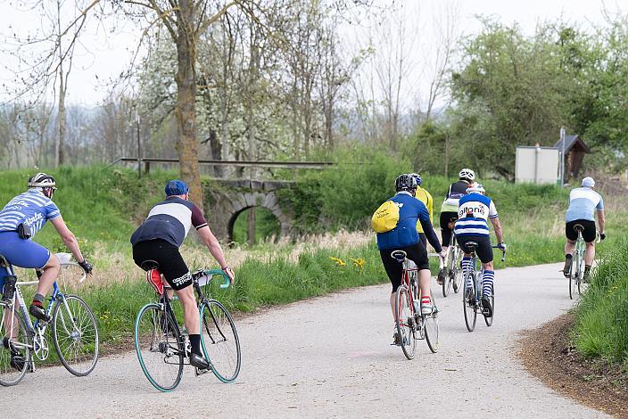 7. Kirschblüten Radklassik, Rad Klassik, Oldtimer, Vintage, Stahlrad, Radsport, Eferding, Oberösterreich