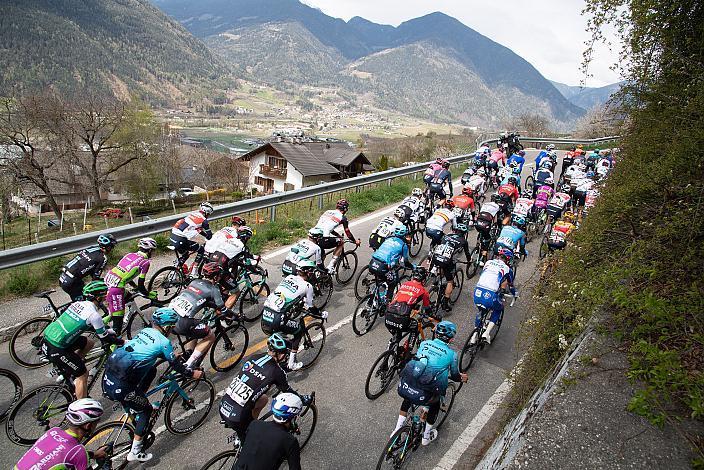 Das Feld klettert nach Natz bei Brixen, 44th Tour of the Alps, 1. Etappe Brixen - Innsbruck 140,6km, UCI Pro Series