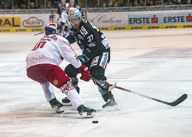 Im Bild: Alexander Pallestrang (EC Red Bull Salzburg), Andreas Kristler (EHC Liwest Black Wings Linz)  Eishockey,  EHC Liwest Black Wings Linz vs Red Bull Salzburg