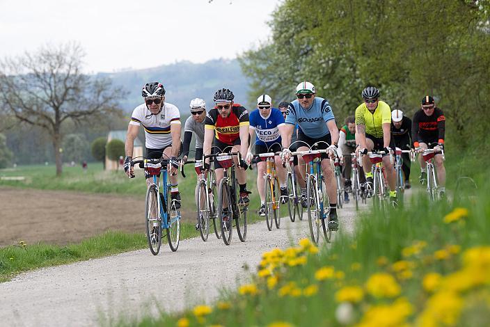 7. Kirschblüten Radklassik, Rad Klassik, Oldtimer, Vintage, Stahlrad, Radsport, Eferding, Oberösterreich