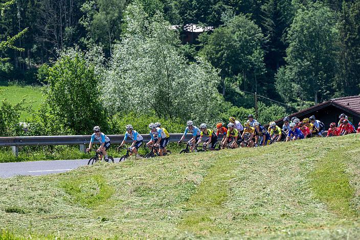 Das Peleton im Anstieg nach Vorderstoder. St.Florian, Asten - Resort Hinterstoder, Höss, Int. Raiffeisen Oberösterreich Rundfahrt UCI Kat. 2.2