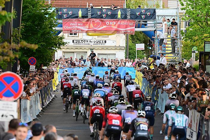 Herren Elite, U23, Road Cycling League Austria, Kriterium Wels