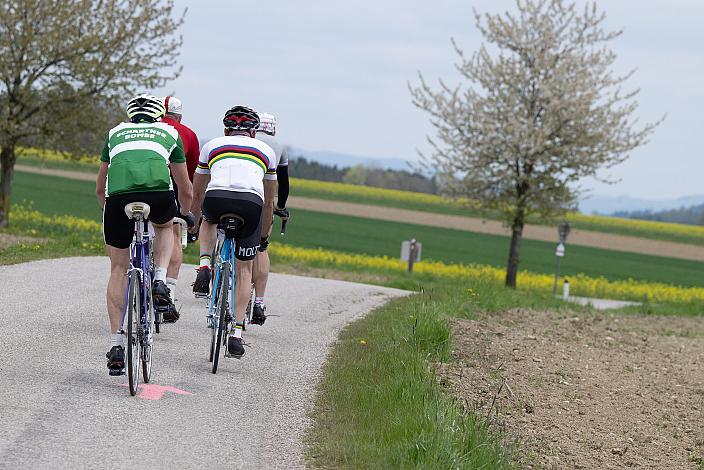 7. Kirschblüten Radklassik, Rad Klassik, Oldtimer, Vintage, Stahlrad, Radsport, Eferding, Oberösterreich