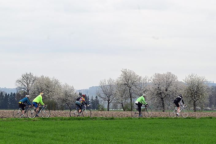 10. Kirschblüten Radklassik, Rad Klassik, Oldtimer, Vintage, Stahlrad, Radsport, Eferding, Oberösterreich