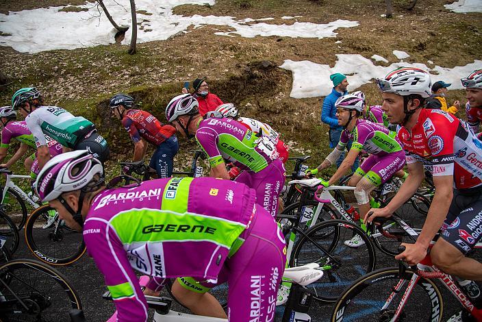 Das Hauptfeld klettert auf den Monte Zoncolan, Stage 14 Cittadella - Monte Zoncolan (205km), 104. Giro d Italia, UCI Worl Tour