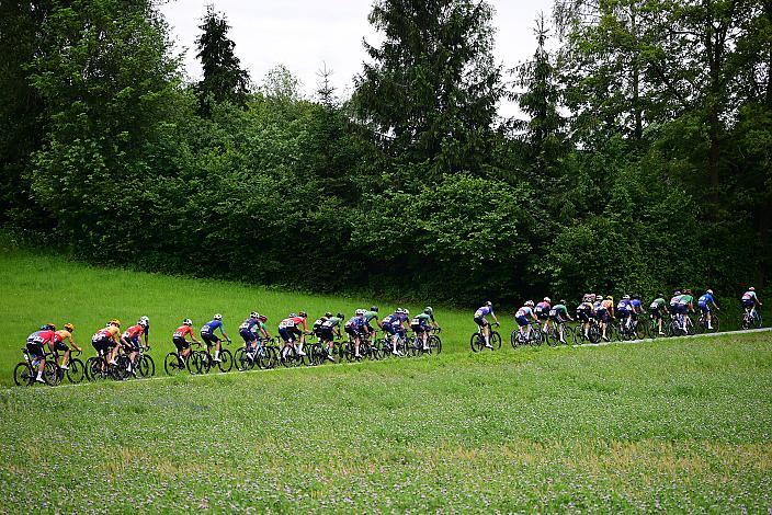 Das Peloton auf der 2. Etappe unterwegs von , Wels nach Aigen - Schlägl, 14. Int. Raiffeisen OÖ-Radrundfahrt UCI Kat. 2.2
