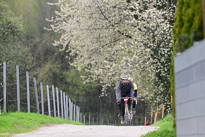 10. Kirschblüten Radklassik, Rad Klassik, Oldtimer, Vintage, Stahlrad, Radsport, Eferding, Oberösterreich