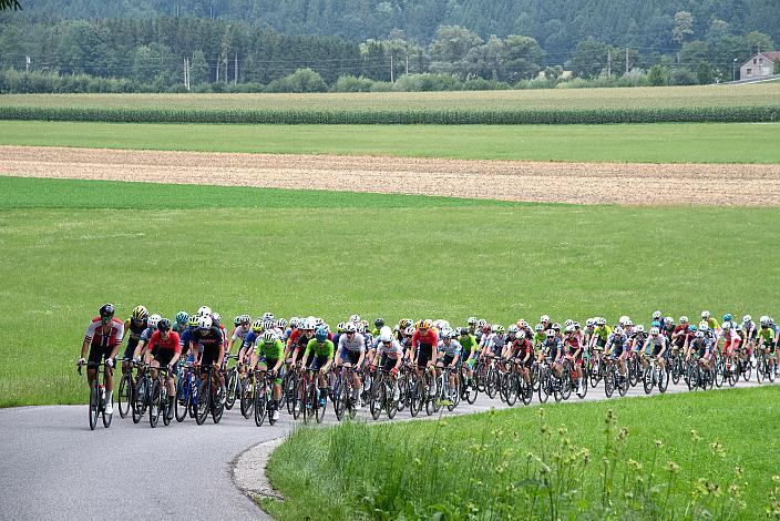 50. OÖ Junioren Rundfahrt, 3. Etappe Bad Wimsbach Strass im Attergau