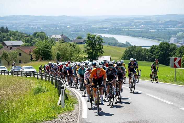 Marvin Hammerschmid (AUT, Cycling Team Schwingshandl) 3. Etappe Bad Schallerbach - Aigen - Schlägl, 15. Int. Raiffeisen OÖ-Radrundfahrt UCI Kat. 2.2