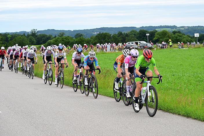 Im Trikot der besten Österreicherin Elisa Winter (AUT, Wheel Divas Cycling Team), , 07.06.2025 07.06.2025 Rad 2 Etappe Sportland NOE Kids Tour