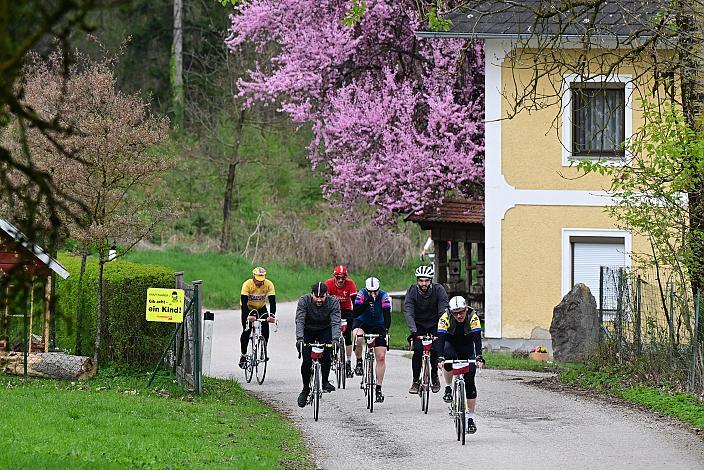 10. Kirschblüten Radklassik, Rad Klassik, Oldtimer, Vintage, Stahlrad, Radsport, Eferding, Oberösterreich