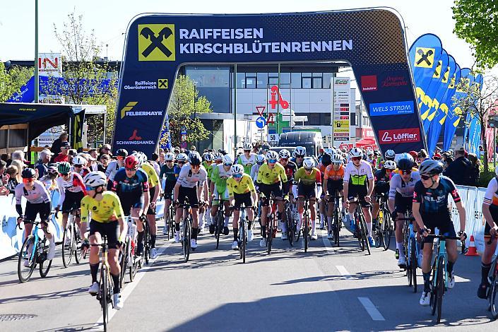 Nachwuchs Junioren, Road Cycling League Austria, 64. Raika Kirschbluetenrennen, Wels, Oberösterreich