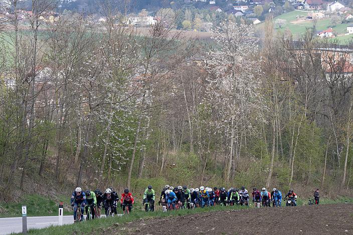 Herren Elite, U23, Radliga, 60. Raika Kirschbluetenrennen, Wels, Oberösterreich