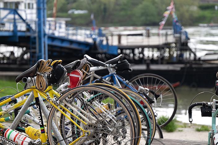 7. Kirschblüten Radklassik, Rad Klassik, Oldtimer, Vintage, Stahlrad, Radsport, Eferding, Oberösterreich