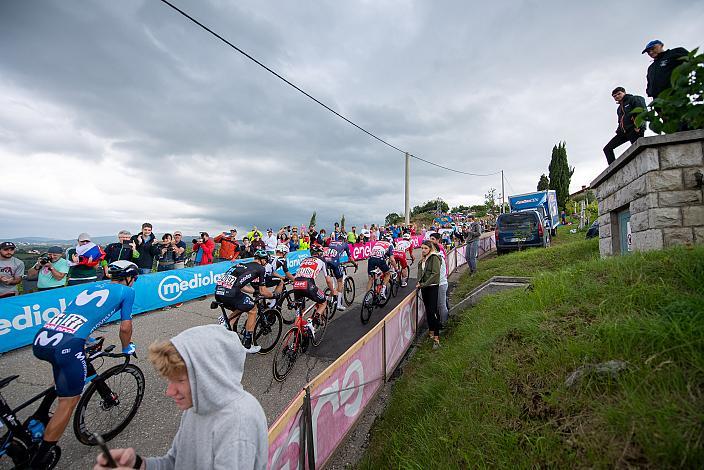 Das Feld am Weg zur Bergwertung Gornje Cerovo in Slowenien Stage 15 Grado - Gorizia (147km), 104. Giro d Italia, UCI Worl Tour