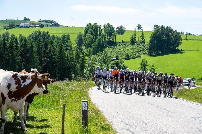 3. Etappe Bad Schallerbach - Aigen - Schlägl, 15. Int. Raiffeisen OÖ-Radrundfahrt UCI Kat. 2.2
