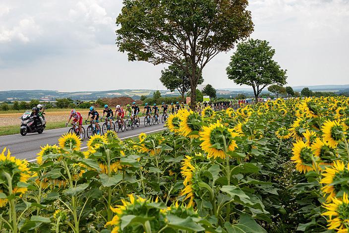 8. Etappe Podersdorf, Burgenland - Wien