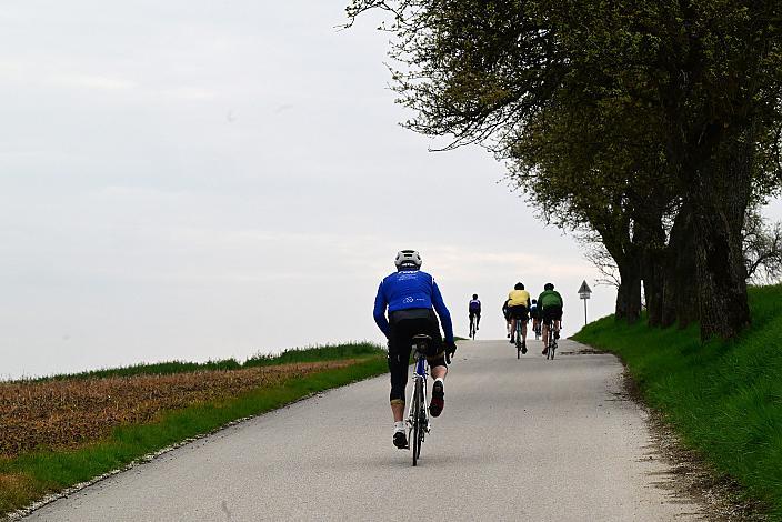 10. Kirschblüten Radklassik, Rad Klassik, Oldtimer, Vintage, Stahlrad, Radsport, Eferding, Oberösterreich