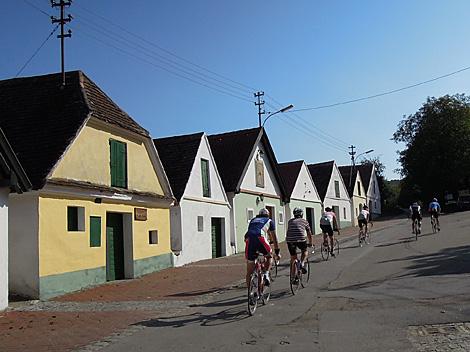 Die Kellergasse in Falkenstein          