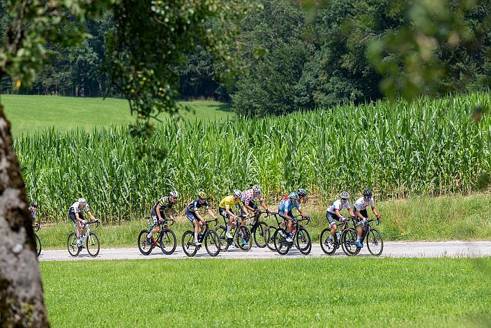  Die Favoriten im Anstieg zur Bergwertung Wald, Bad Wimsbach - Strass im Attergau, Int. "Keine Sorgen" Junioren Rundfahrt UCI Kat. 2.1 MJ