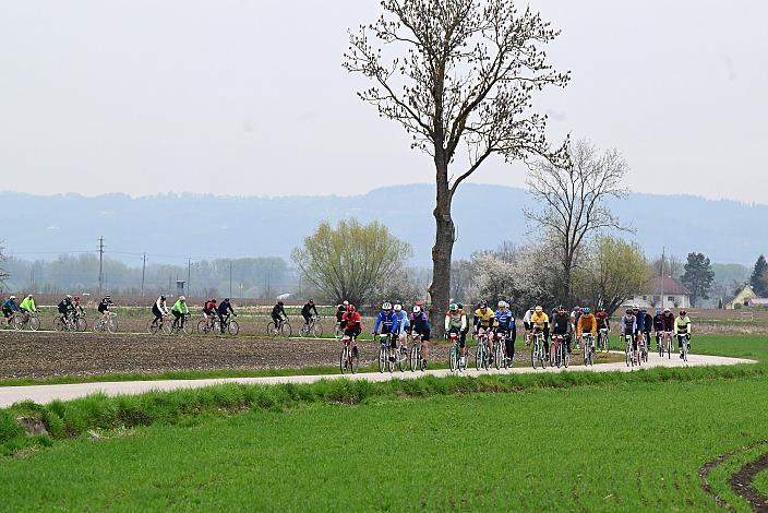 10. Kirschblüten Radklassik, Rad Klassik, Oldtimer, Vintage, Stahlrad, Radsport, Eferding, Oberösterreich