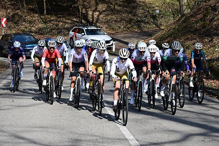 das Damen Peloton   65. Rad Saison Eroeffnungsrennen Leonding