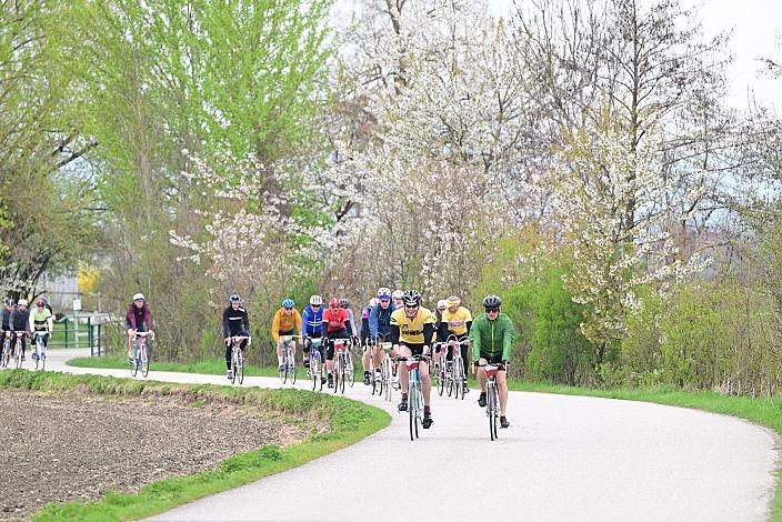 10. Kirschblüten Radklassik, Rad Klassik, Oldtimer, Vintage, Stahlrad, Radsport, Eferding, Oberösterreich