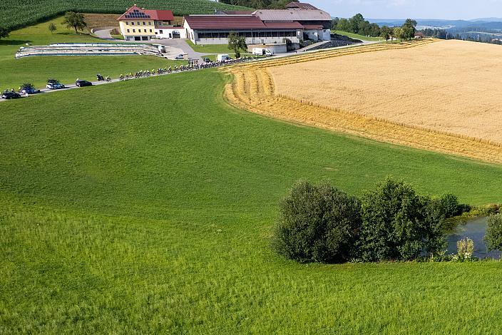 Das Peloton bei Putzleinsdorf, 2. Etappe Sarleinsbach - Sarleinsbach, Int. Oberösterreichische Versicherung OÖ Junioren Oberösterreich Rundfahrt