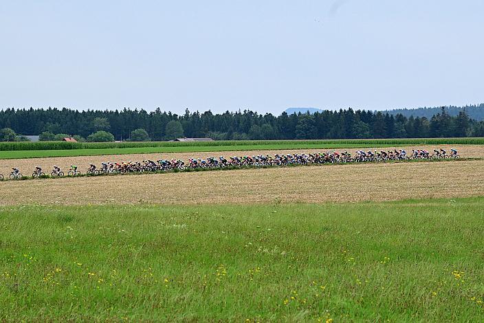 Das Peloton in der 3. Etappe,  51. Int. Oberösterreich Junioren Rundfahrt, Bad Wimsbach - Strass im Attergau