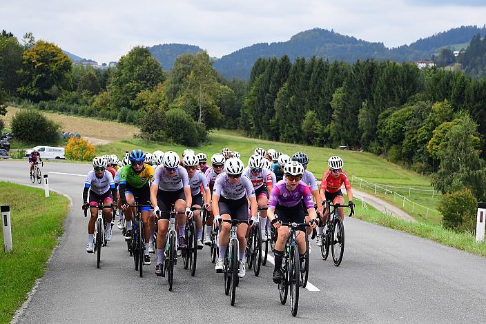 Damen Elite, U23, Cycling League Austria Radliga, Mühlviertler Hügelwelt Classic Elite Damen, Königswiesen, OÖ